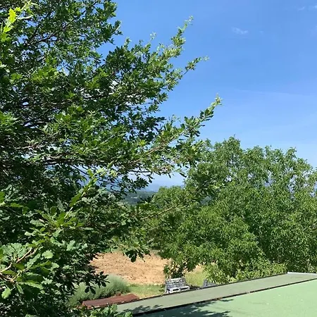 Bed & Breakfast Terrae Eremis: Ristorante, Bar, *