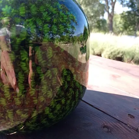 Terrae Eremis: Ristorante, Bar, Bed & Breakfast Roccamorice