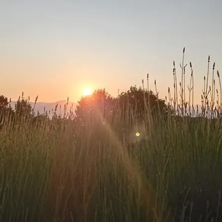 Terrae Eremis: Ristorante, Bar, * Roccamorice