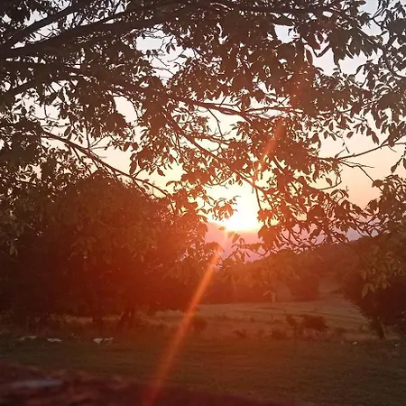 Terrae Eremis: Ristorante, Bar,