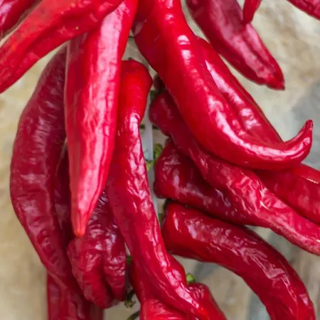 Bed & Breakfast Terrae Eremis: Ristorante, Bar, *