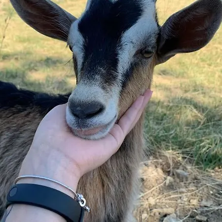 Terrae Eremis: Ristorante, Bar, Bed & Breakfast Roccamorice