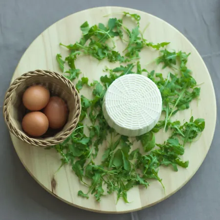 Bed & Breakfast Terrae Eremis: Ristorante, Bar,