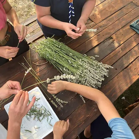 Terrae Eremis: Ristorante, Bar, *