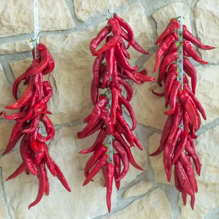 Terrae Eremis: Ristorante, Bar, *