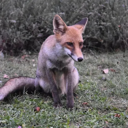 Terrae Eremis: Ristorante, Bar, Roccamorice