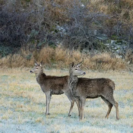 Terrae Eremis: Ristorante, Bar, Roccamorice