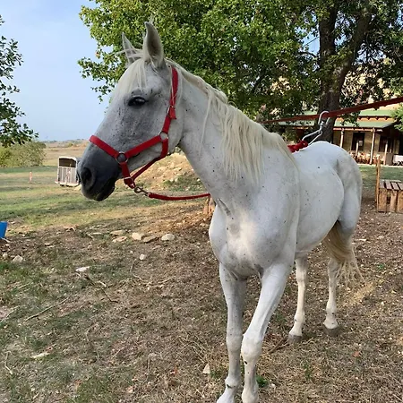 Terrae Eremis: Ristorante, Bar, Bed & Breakfast *