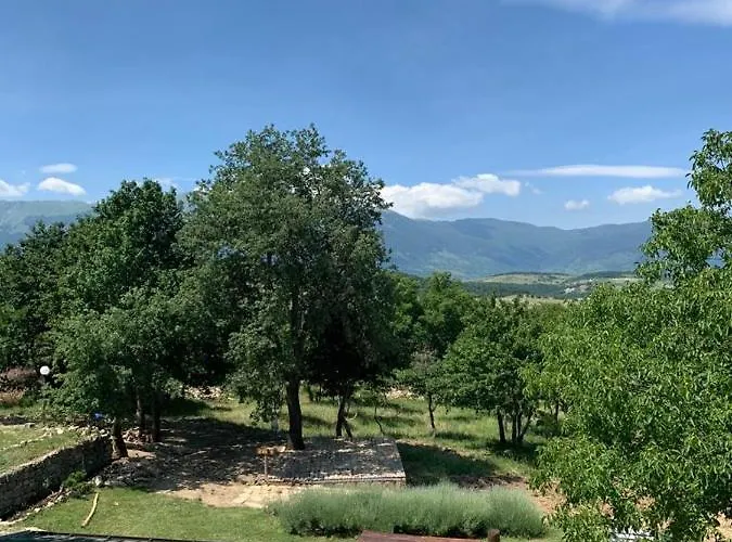 Bed & Breakfast Terrae Eremis: Ristorante, Bar,