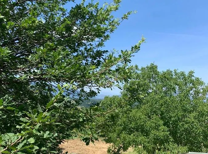 Bed & Breakfast Terrae Eremis: Ristorante, Bar, *