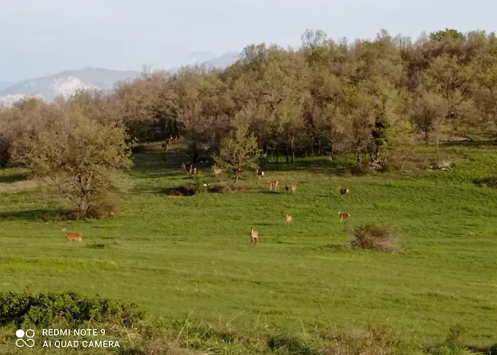 Alojamento de Acomodação e Pequeno-almoço Terrae Eremis: Ristorante, Bar,