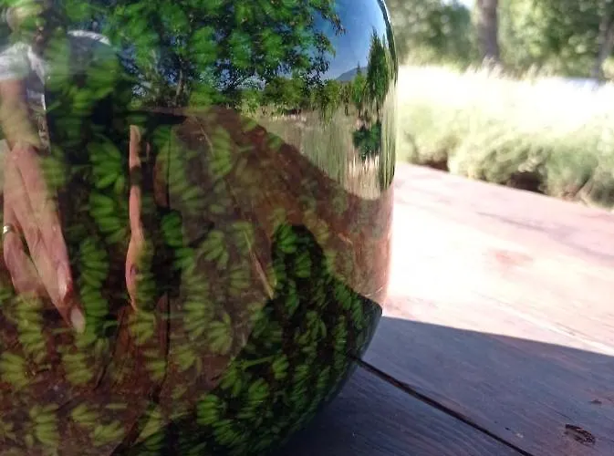 Terrae Eremis: Ristorante, Bar, Bed & Breakfast Roccamorice