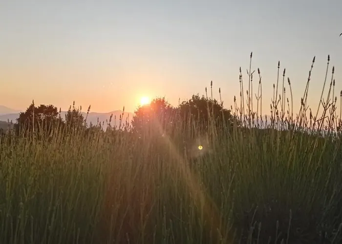 Terrae Eremis: Ristorante, Bar, * Roccamorice