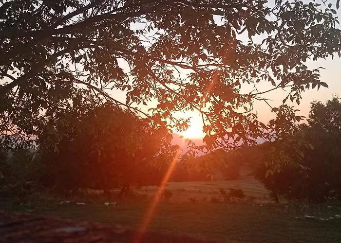 Terrae Eremis: Ristorante, Bar,