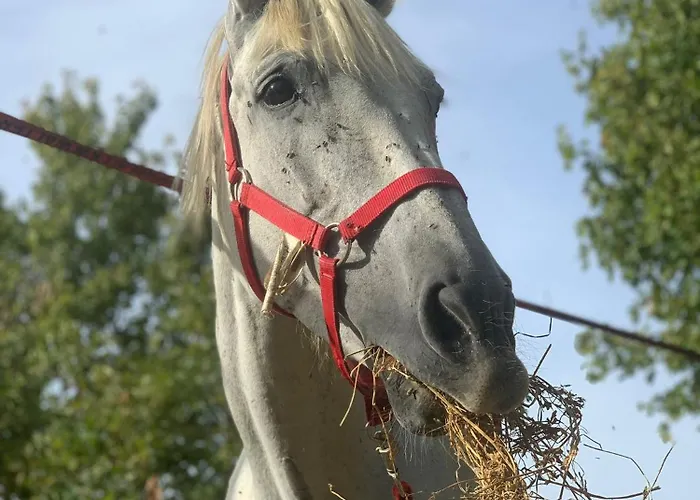 Terrae Eremis: Ristorante, Bar, * Roccamorice