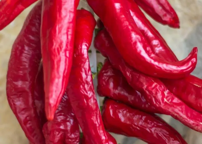 Bed & Breakfast Terrae Eremis: Ristorante, Bar, *