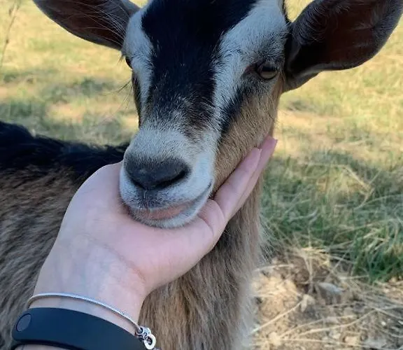 Terrae Eremis: Ristorante, Bar, Bed & Breakfast Roccamorice