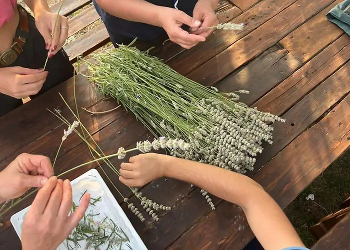 Terrae Eremis: Ristorante, Bar, *