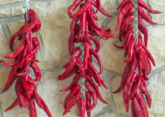 Terrae Eremis: Ristorante, Bar, *