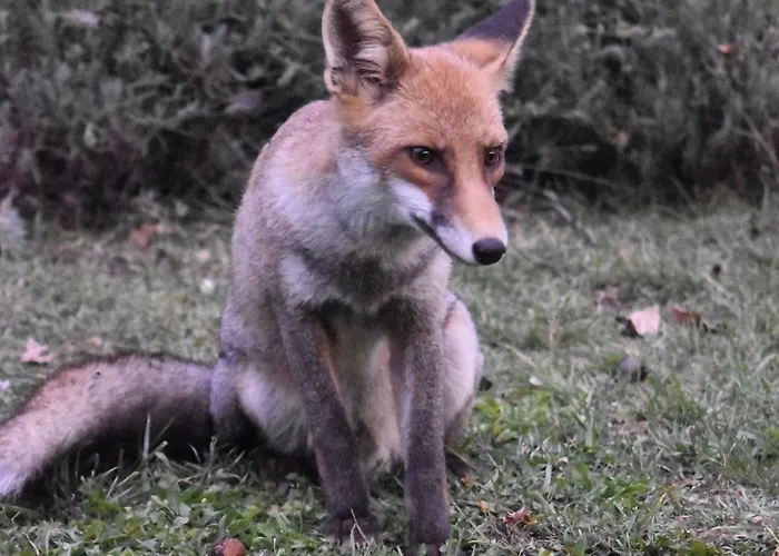 Terrae Eremis: Ristorante, Bar, Roccamorice