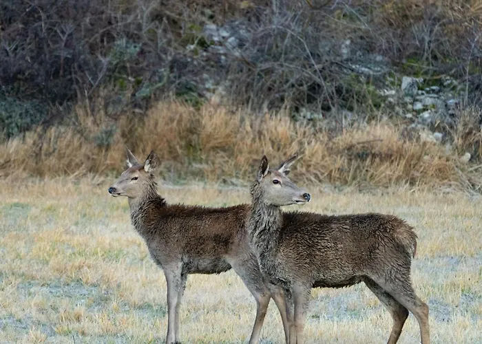 Terrae Eremis: Ristorante, Bar, Roccamorice