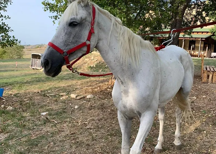 Terrae Eremis: Ristorante, Bar, Bed & Breakfast *